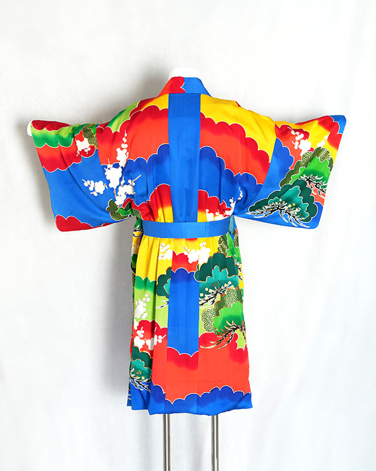 Haori-Vintage kimono model (Cloud layered pine and plum pattern)